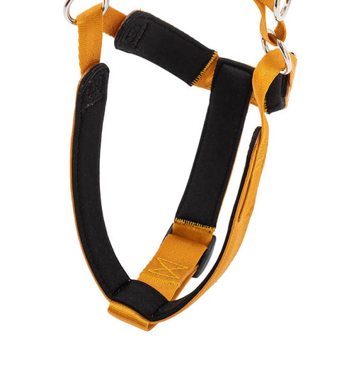 MANDARINE BROTHERS クラシックハーネス/CLASSIC HARNESS